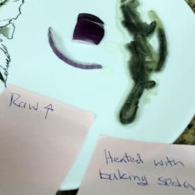 A science experiment demonstrating how pigments in red onions change color depending on pH