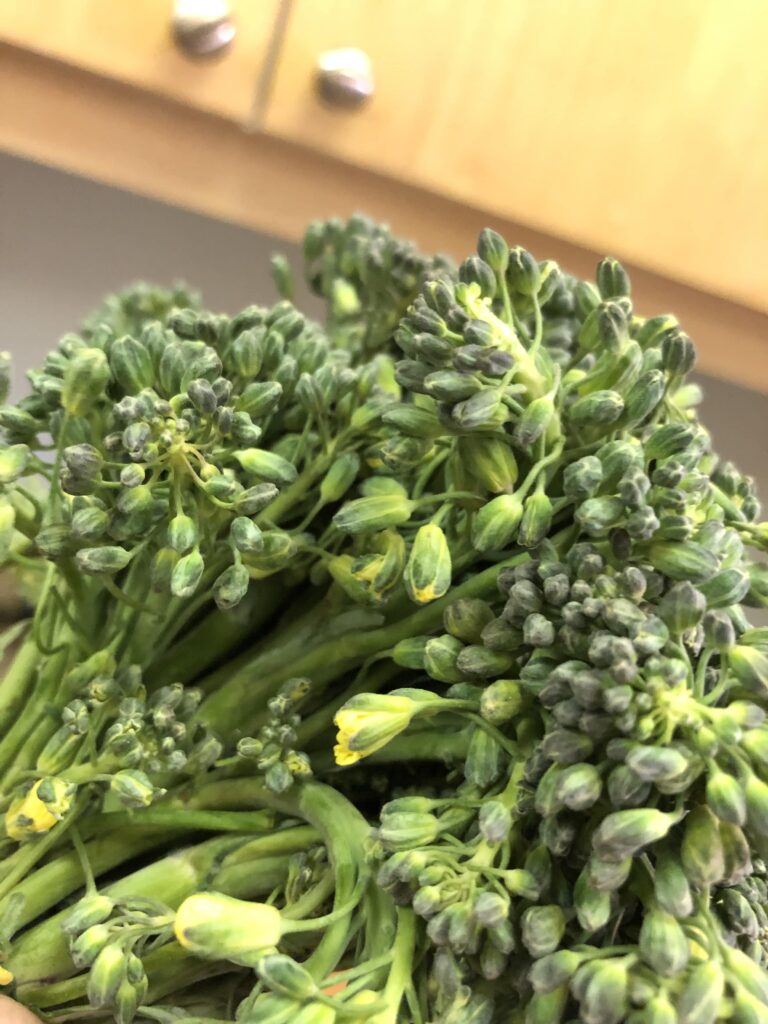 bunch of flowering broccolini