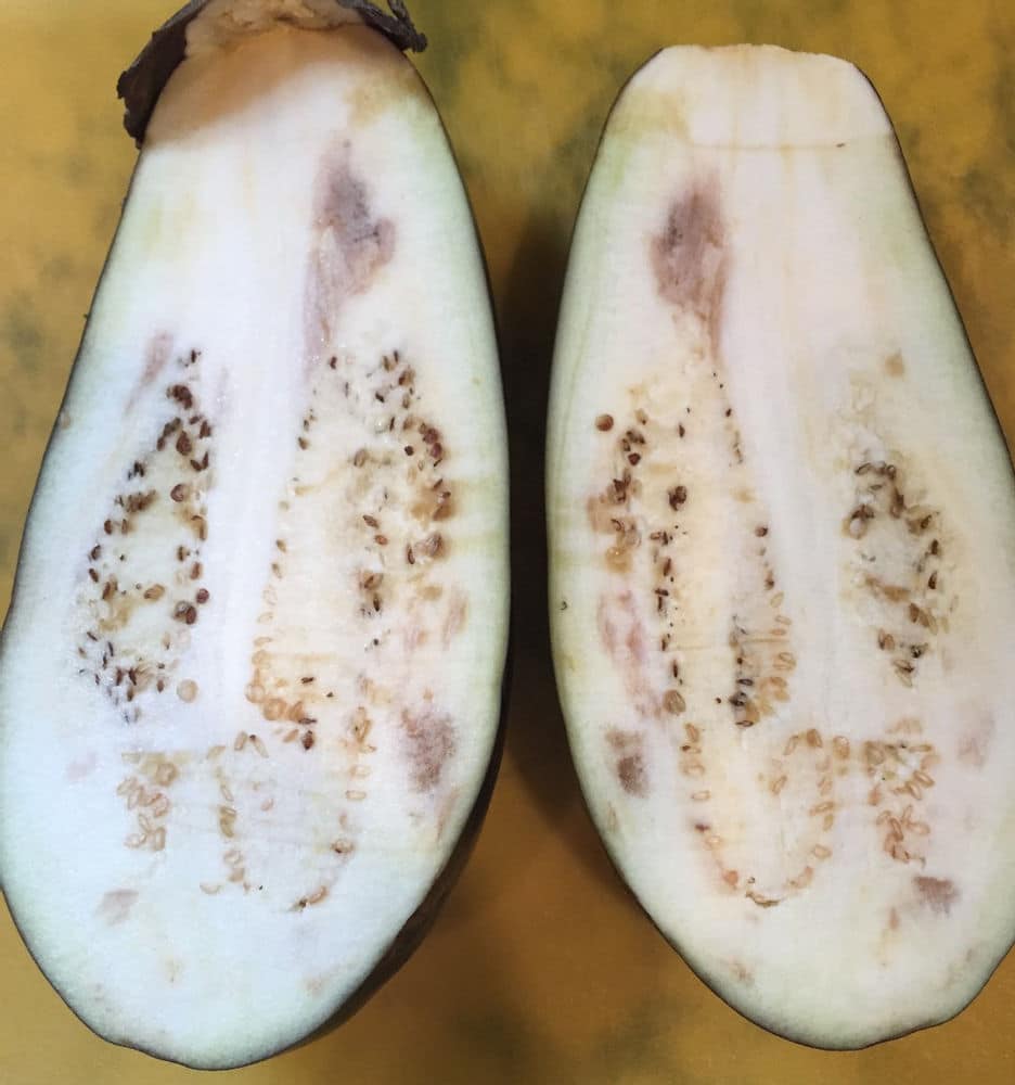 Shady areas inside your eggplant? - Eat Or Toss