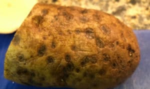 You can eat a potato with weird spots like this. But you should make sure to remove infected lenticels first.