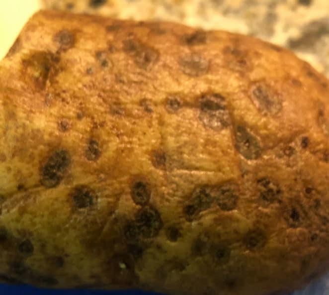 You can eat a potato with weird spots like this. But you should make sure to remove infected lenticels first.
