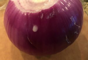 white liquid drips down side of red onion