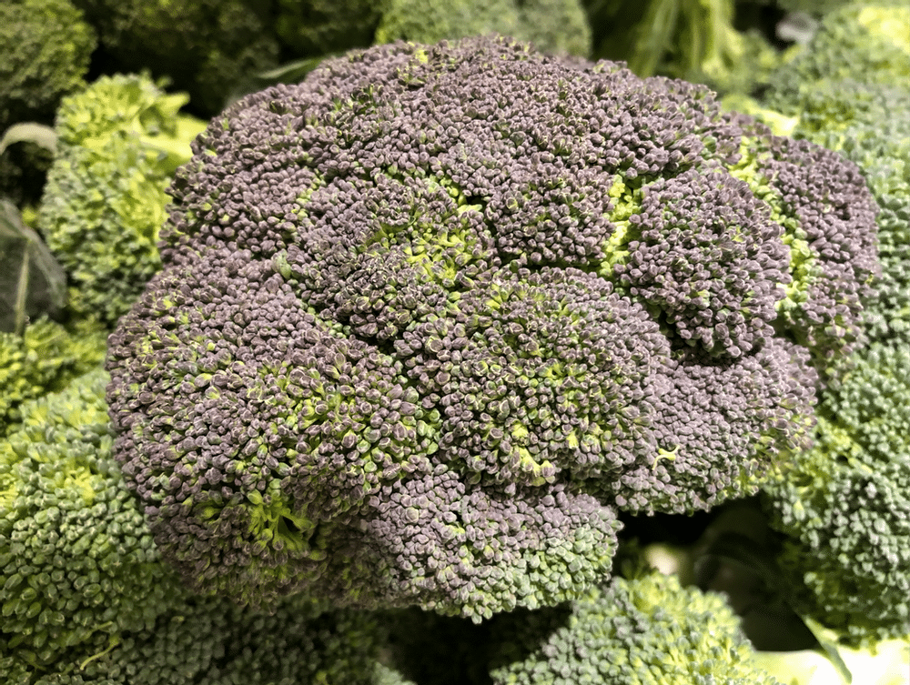 Why Does Some Broccoli Look Blue Eat Or Toss