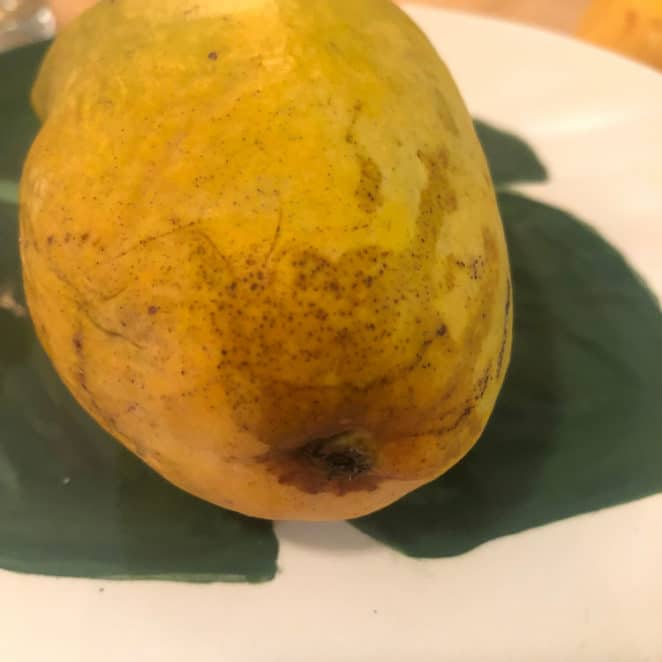 Dark streaks on your mango's skin