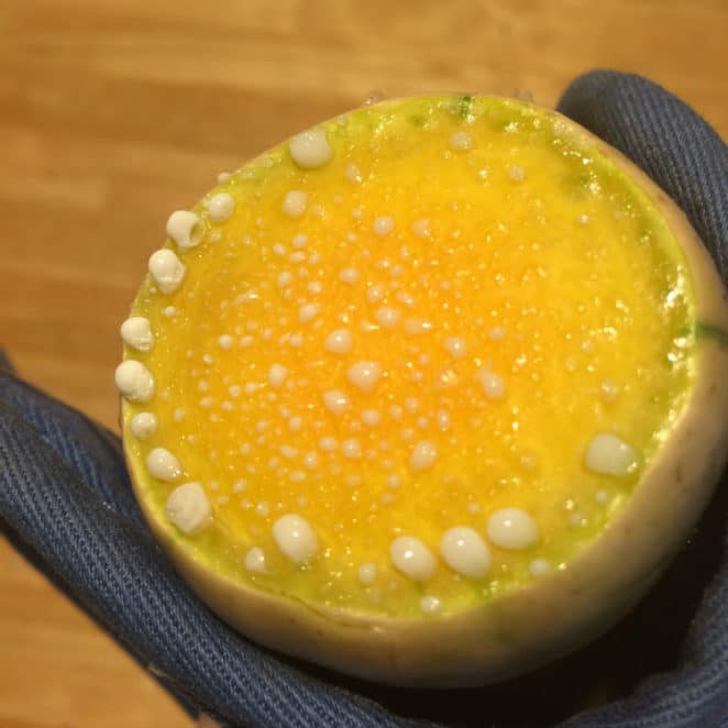 White stuff oozing out of squash