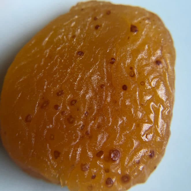 Brown speckles on apricot