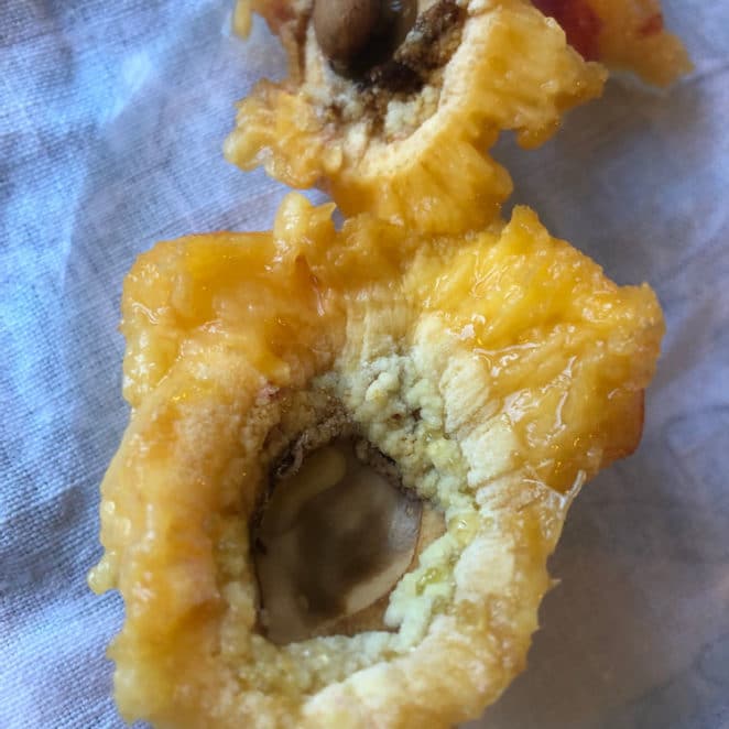 Peach with split pit; weird inside