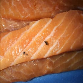 Even though it has scales on it, this salmon filet is still edible