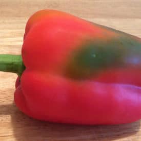 A red pepper with a green patch is still edible