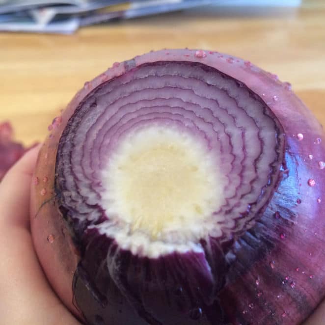 hard white area in an onion