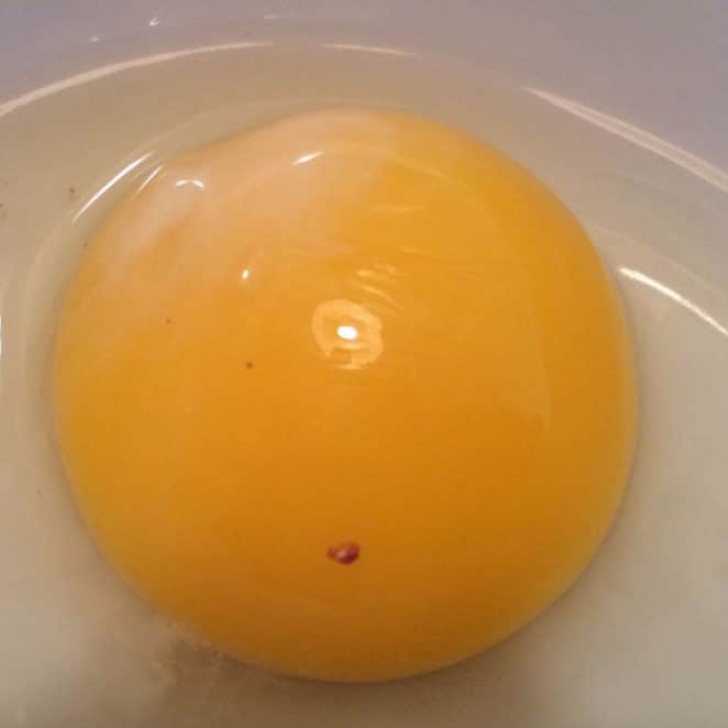 Blood spot in an egg. The egg is still OK to eat.