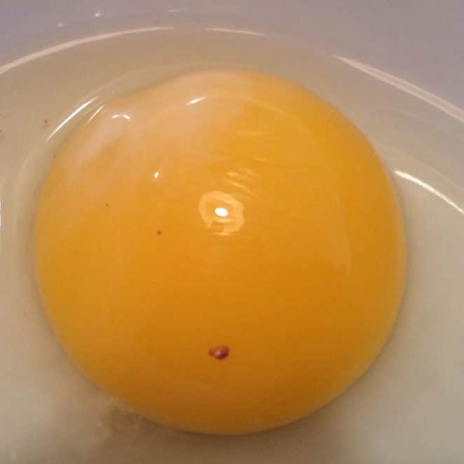 Goneryl smart Mart Is that blood in my egg? - Eat Or Toss