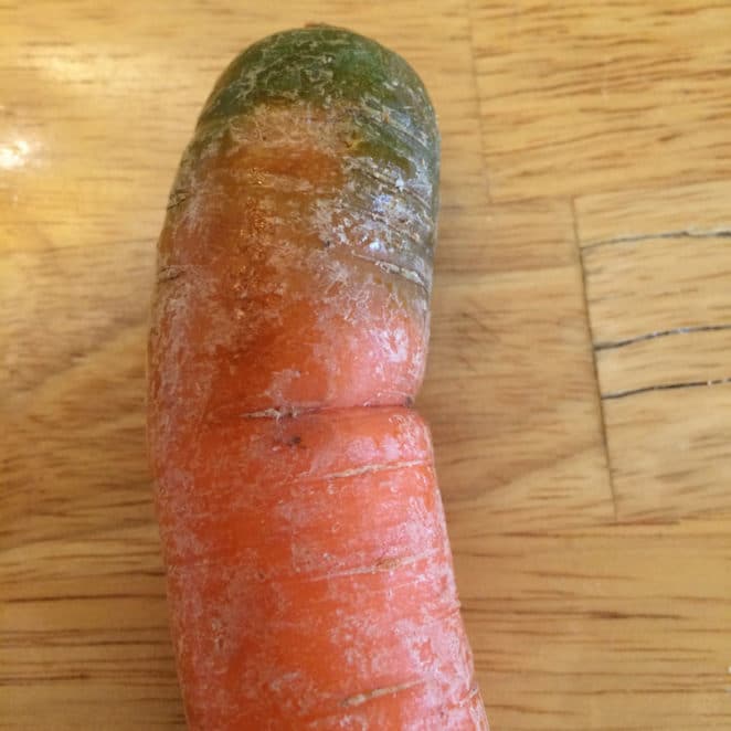 Carrot with green top