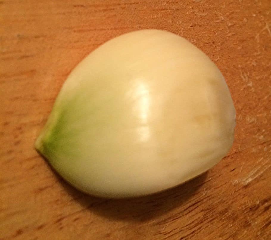 Garlic clove turning green?