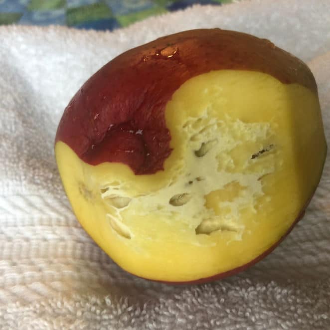 A mango with white patches and holes on the inside can still be OK to eat.