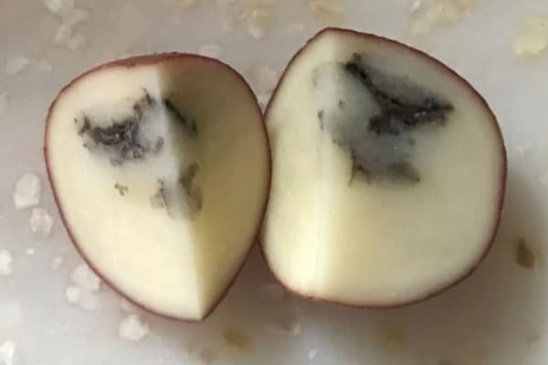 black inside potatoes can still be safe to eat