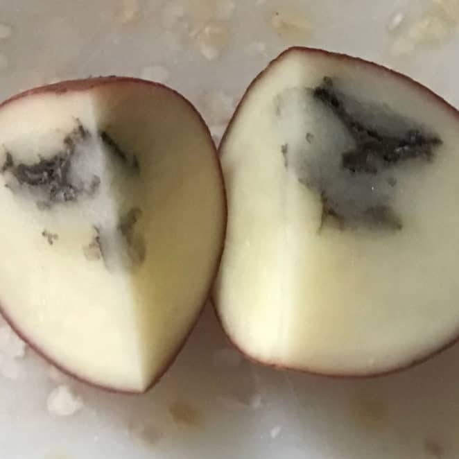 black inside potatoes can still be safe to eat