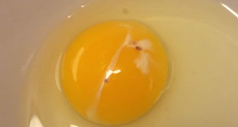 dark spots and white stuff on raw egg yolk