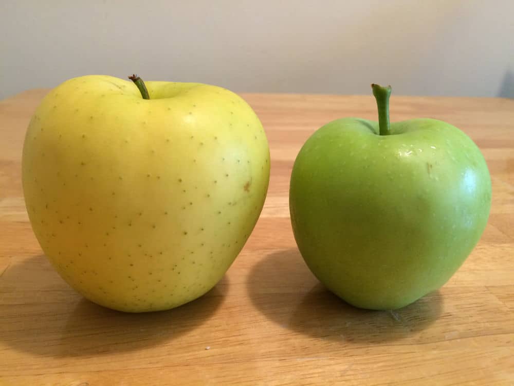 Golden delicious apple, with obvious lenticel dots, next to a lodi apple, which looks smooth because you can't see the lenticels