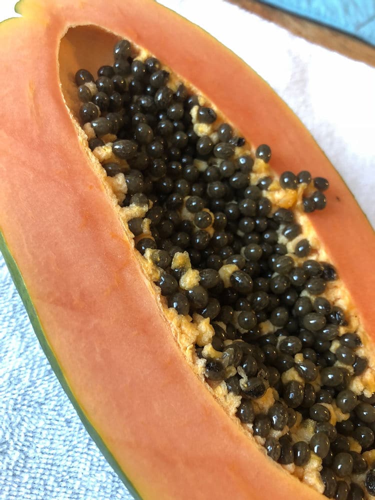 Half of a papaya with seeds