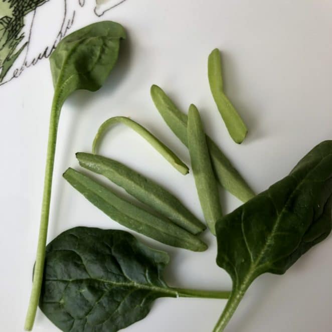 Long slender leaves in spinach clamshells aren't grass, but instead are early spinach leaves.