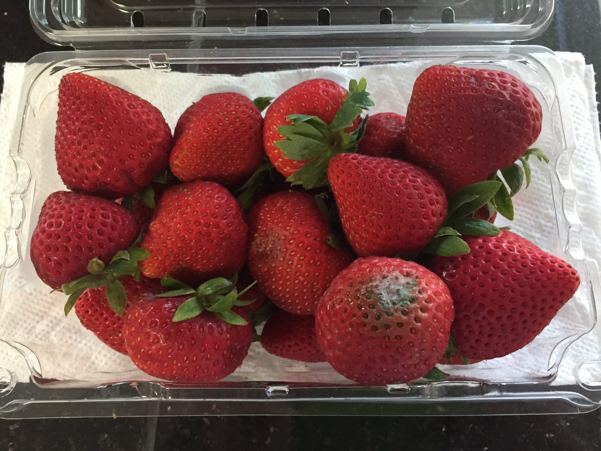 Keep those gray fuzzy strawberries in check