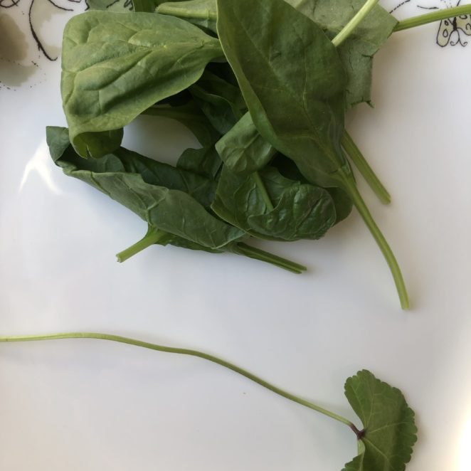 cheeseweed that wound up in a spinach clamshell