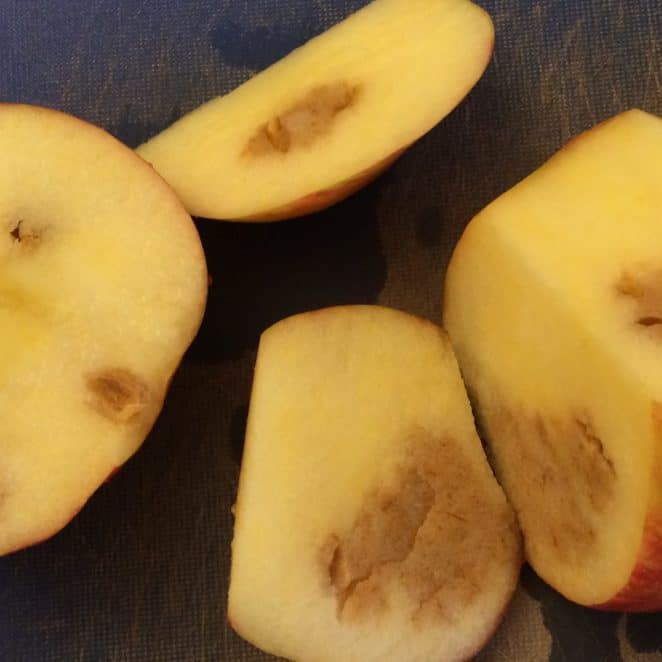 Brown inside apples from carbon dioxide injury