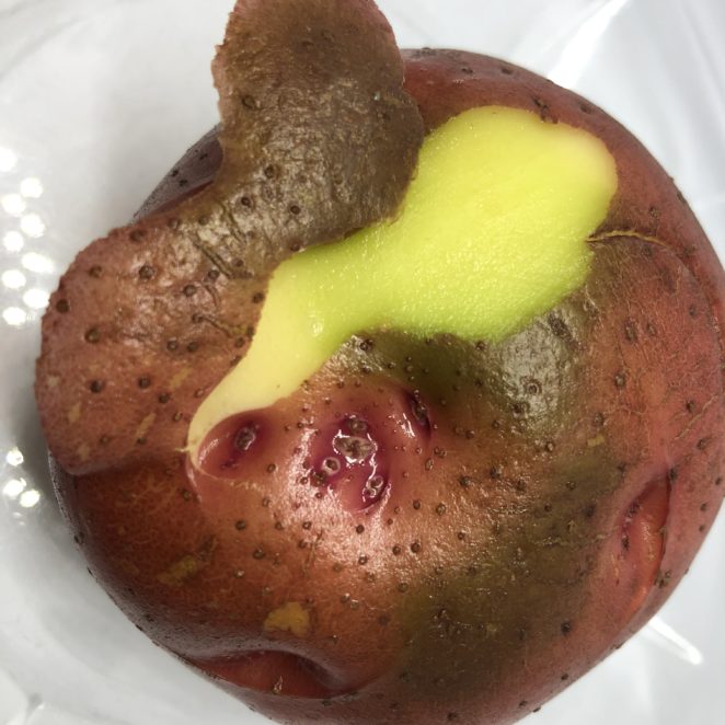 Red potato with green underneath dark patches on the skin