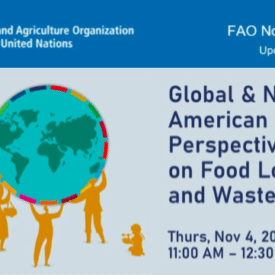 FAO Food Waste Webinar card