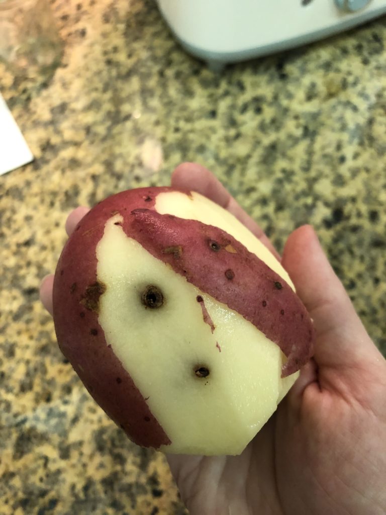 This potato appears to have infected, but healed lenticels.