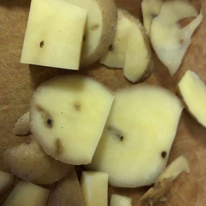 Holes in potato left behind by wireworms