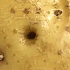 close up wireworm hole in potato