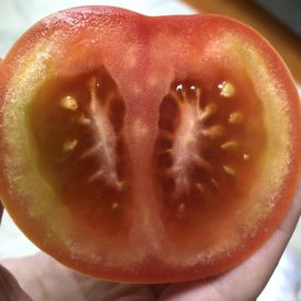 green inside tomato skin