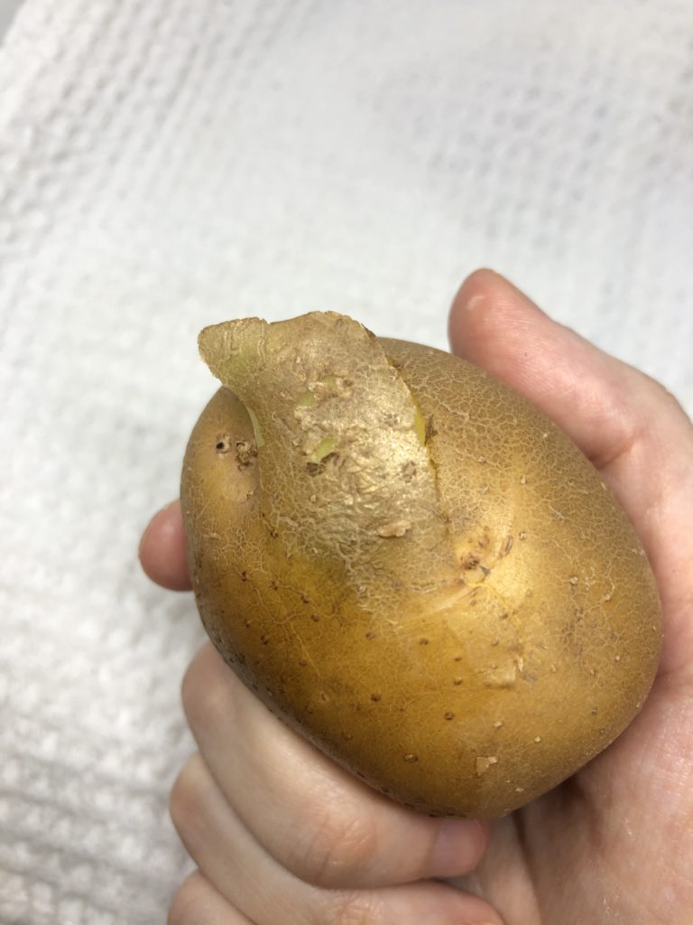 Exterior of potato with white knot