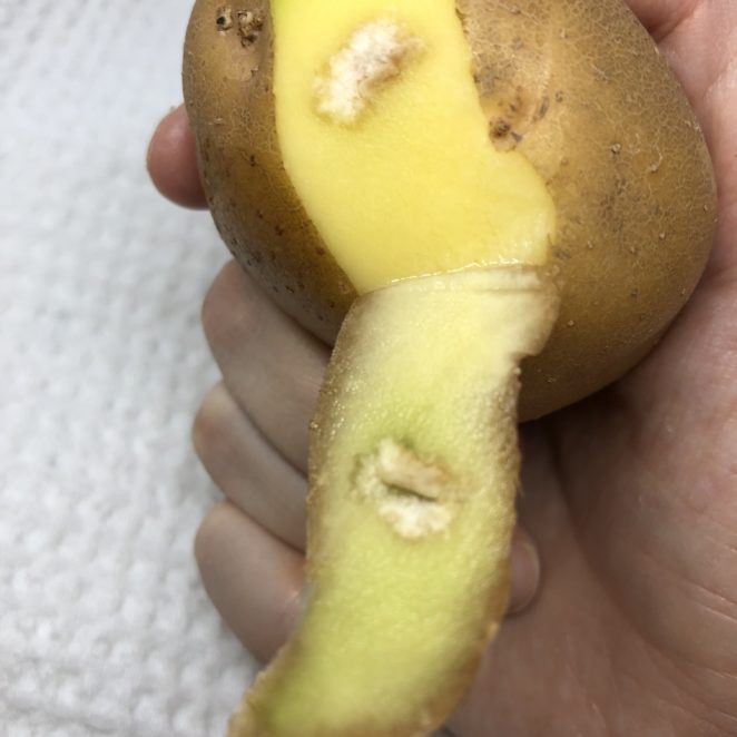 White thing under yellow potato skin