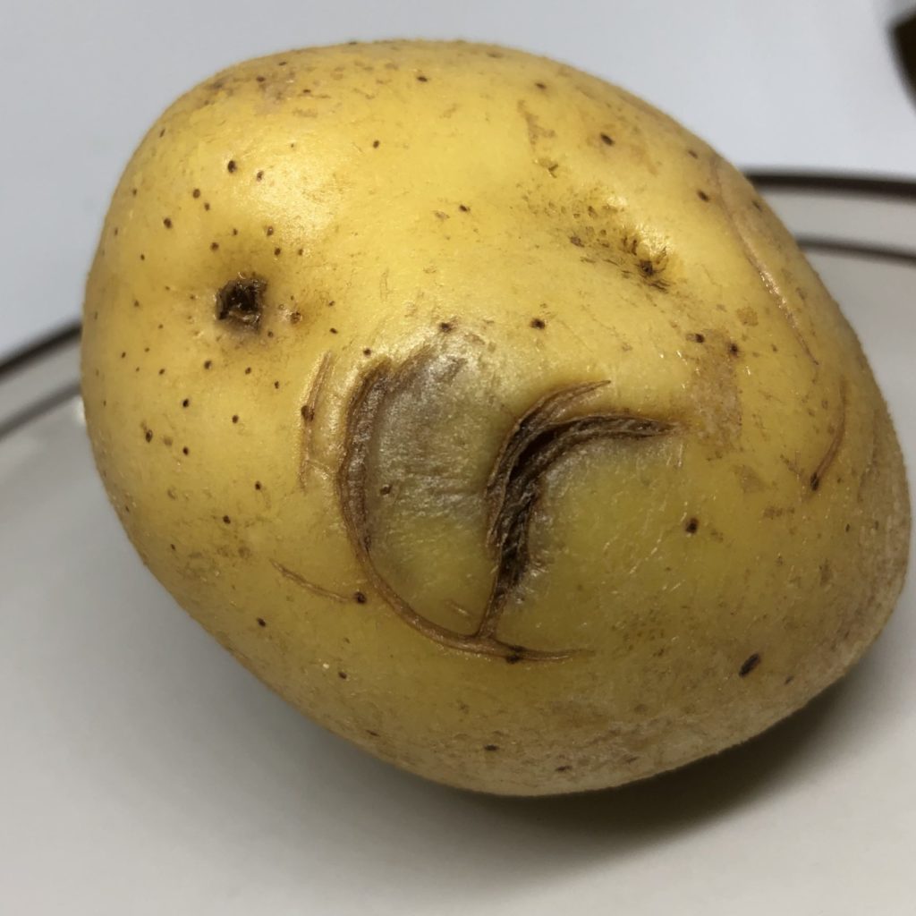 potato cut wounds