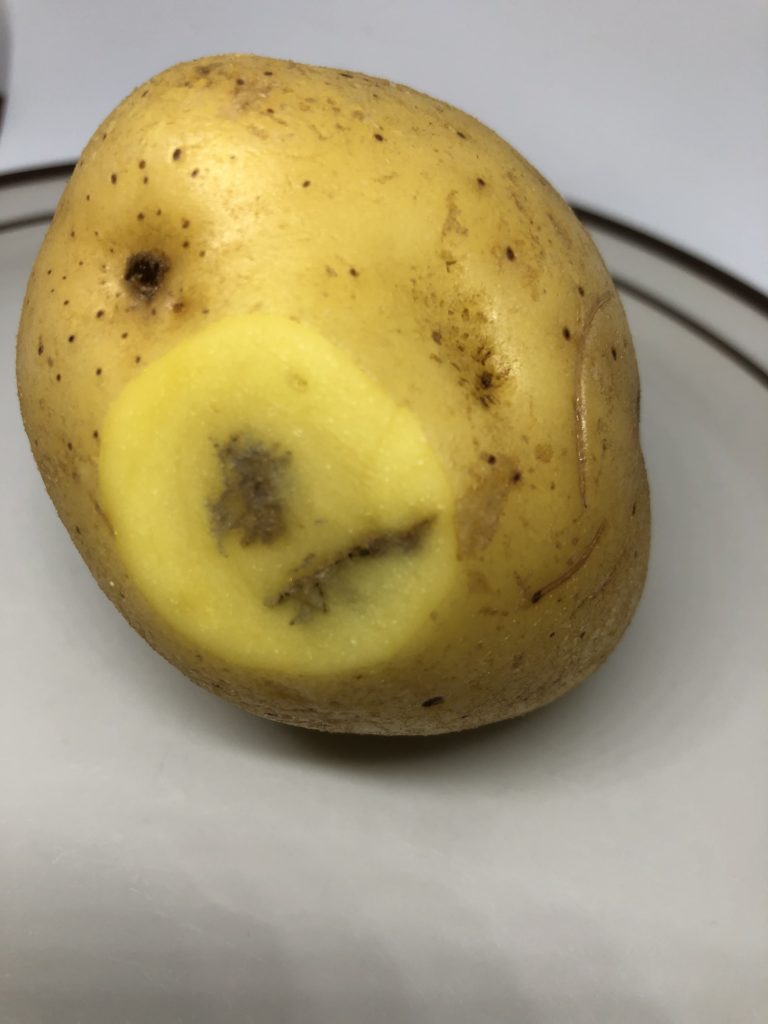 black bruise inside potato