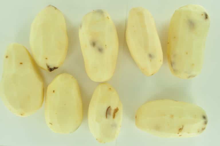 Black or brown just under potato peel
