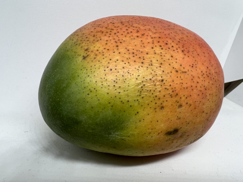 little black dots on mango are lenticel darkening