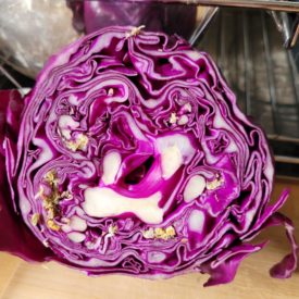 Yellow things in red cabbage