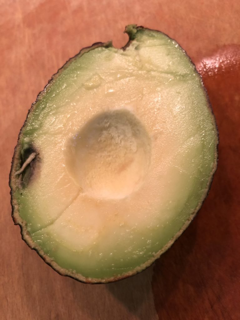 avocado with small finger bruise