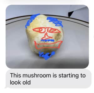 silly old mushroom