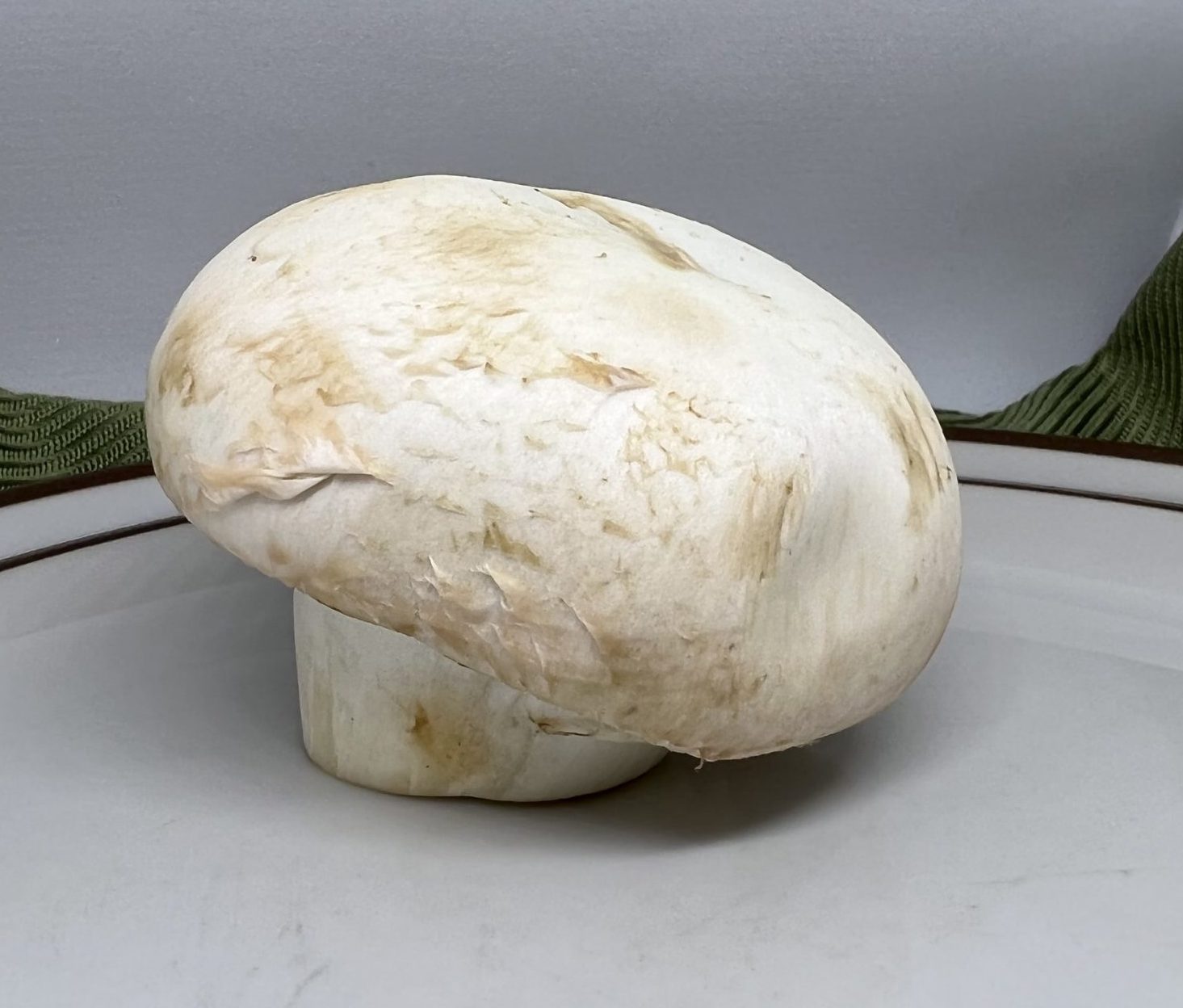 Dark Spots Or Discoloration On Mushrooms dark-spots-or-discoloration-on-mushrooms