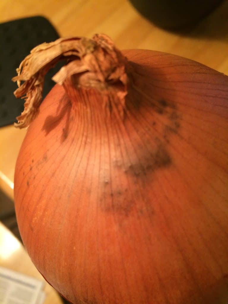 Yes, the black, sooty stuff on onions is mold but don't panic