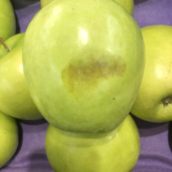 bruised apple
