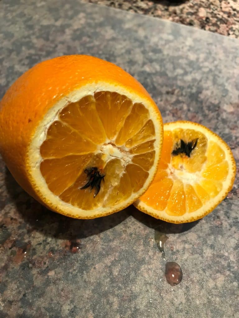 black stuff inside orange
