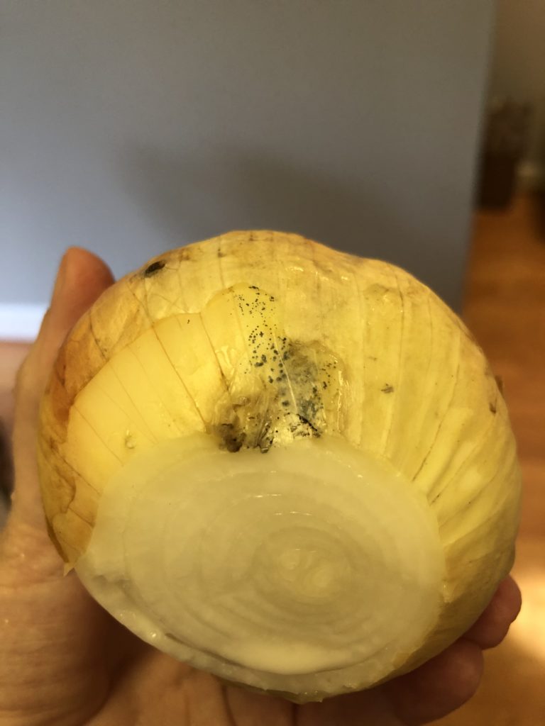 black mold onion