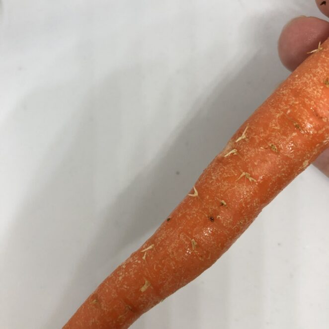carrot with little hairs