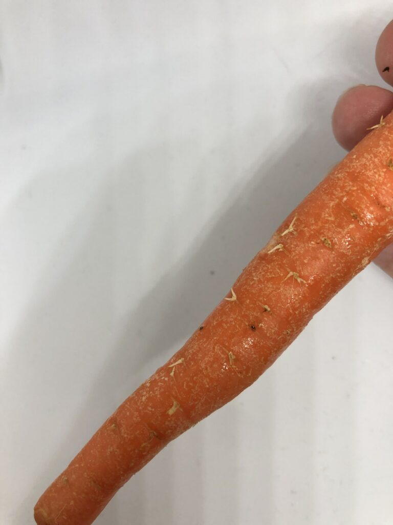 carrot with little hairs